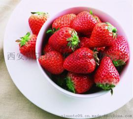 草莓速溶粉 草莓果汁粉 天然果汁粉 固体饮料