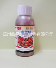 草莓炭疽病专用药、辛菌胺、草莓农药